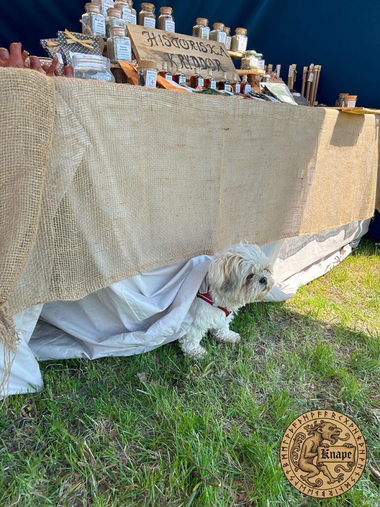 Hunden Freja tittar fram under försäljningsbordet