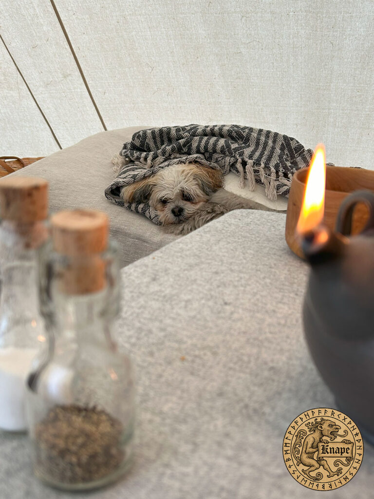 Hund liggandes inbäddad i ett vikingatält
